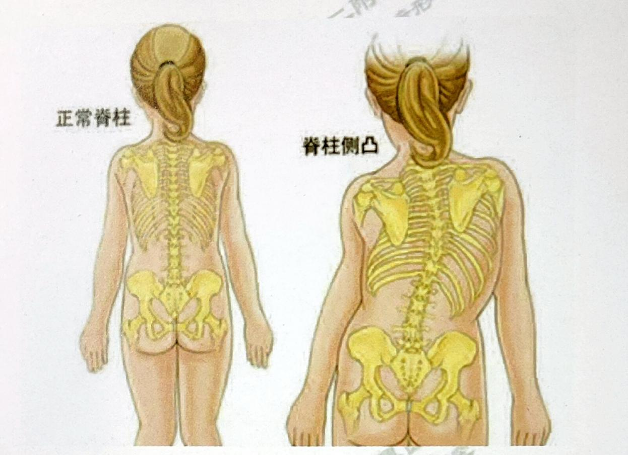 16681355948738.png 16681355948738.png