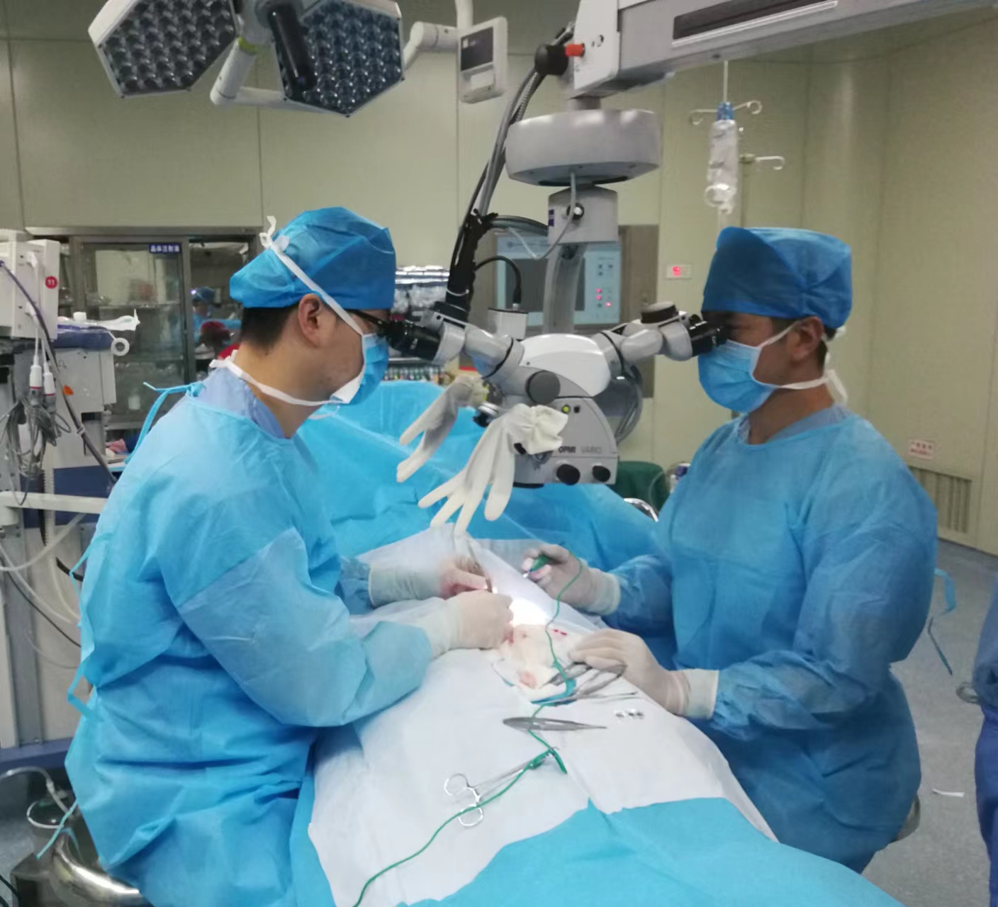 16769456494078.png 16769456494078.png