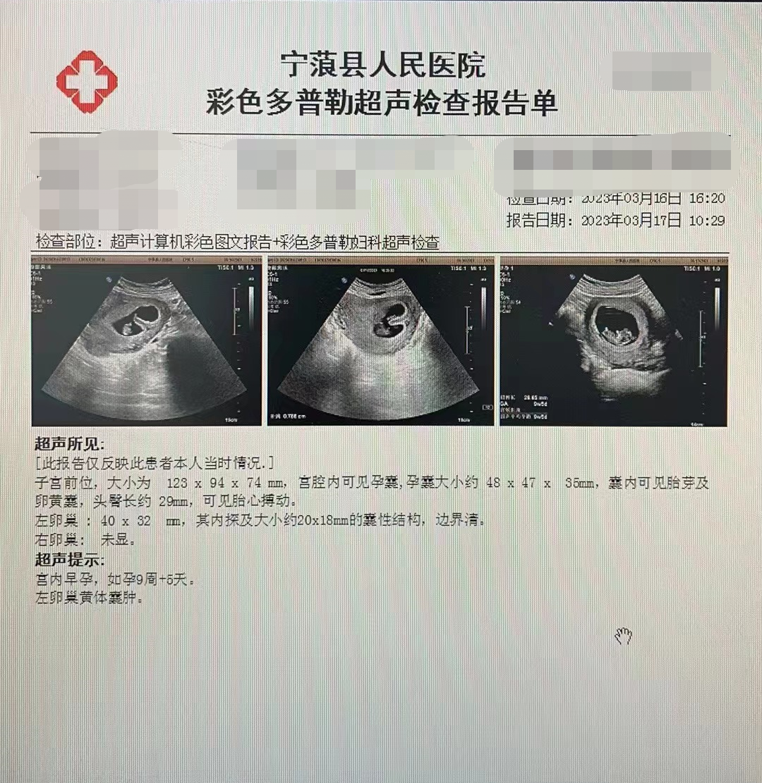 16795370267726.png 16795370267726.png