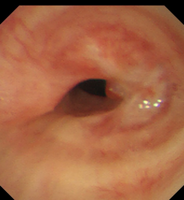 16801485594443.png 16801485594443.png