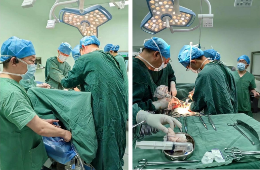 16808283485306.jpg 16808283485306.jpg