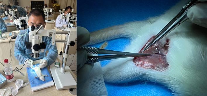 16812715107284.png 16812715107284.png