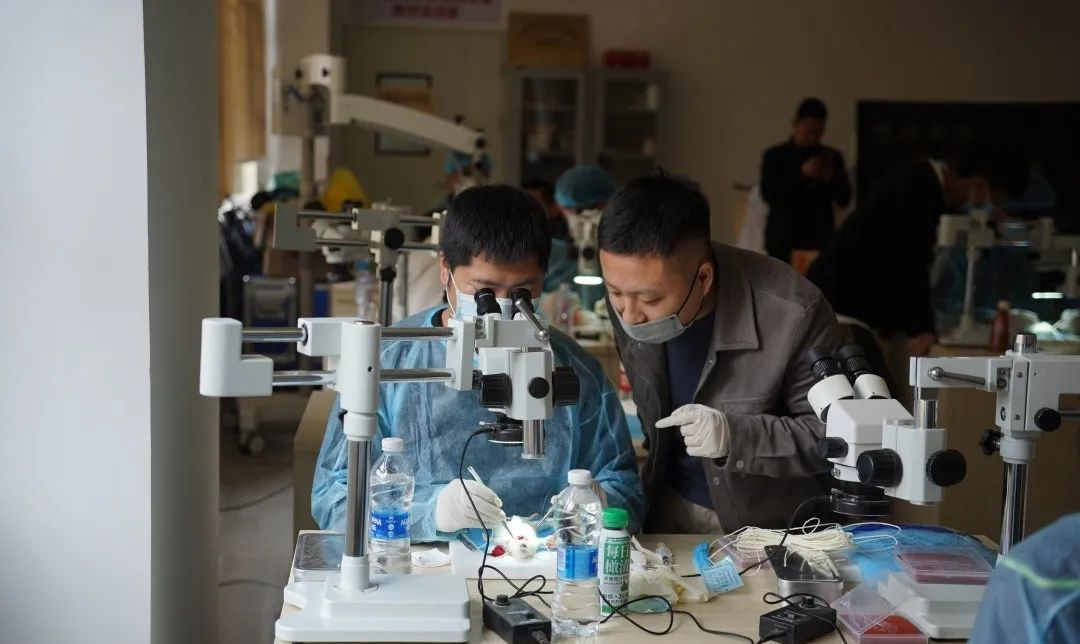 16812715756116.png 16812715756116.png