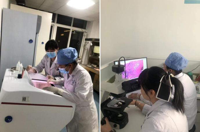 16825655358065.png 16825655358065.png