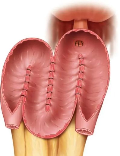 16838560501610.png 16838560501610.png