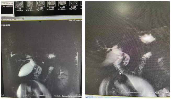 16876579269052.png 16876579269052.png