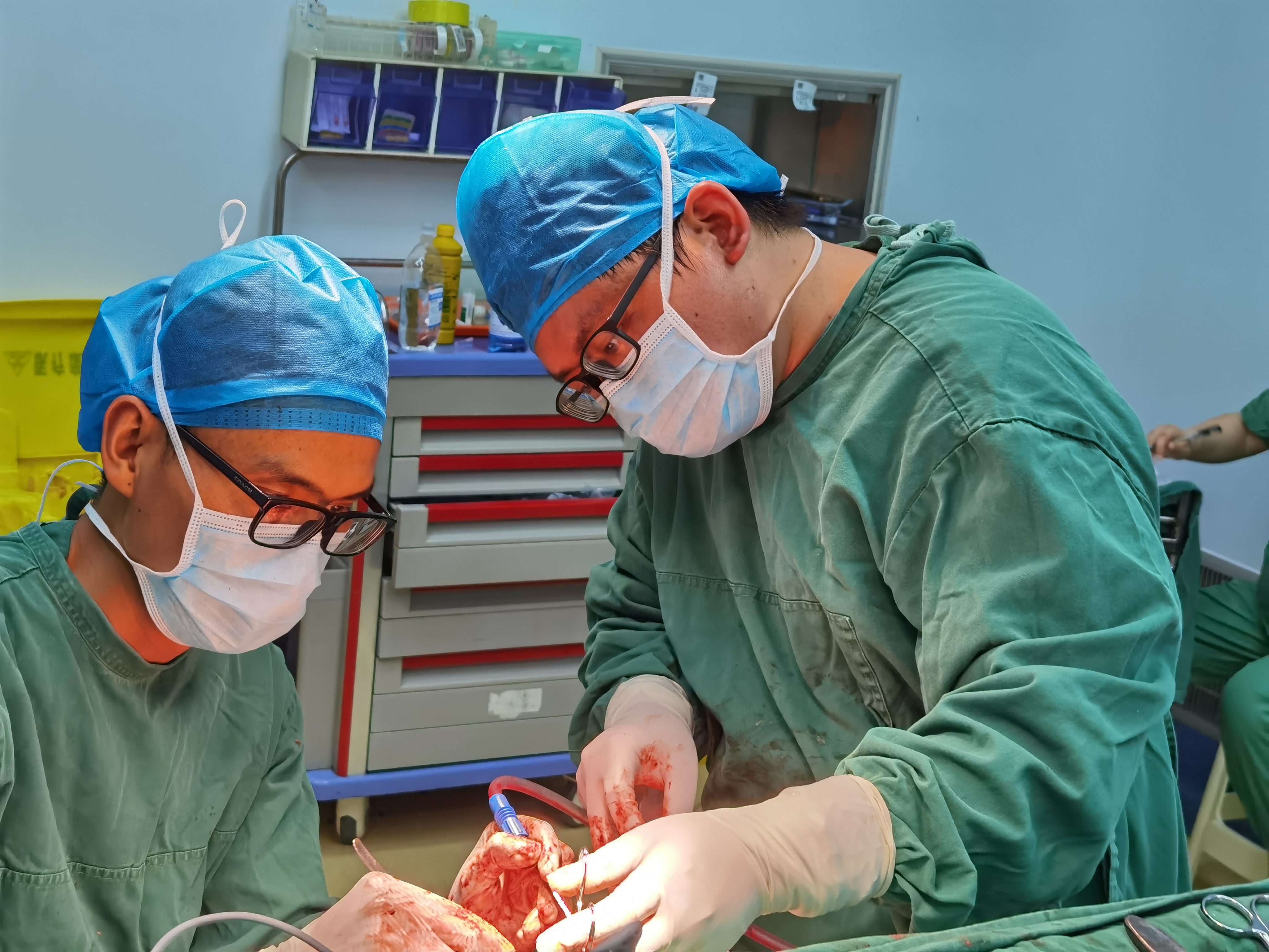 16898154175259.jpg 16898154175259.jpg