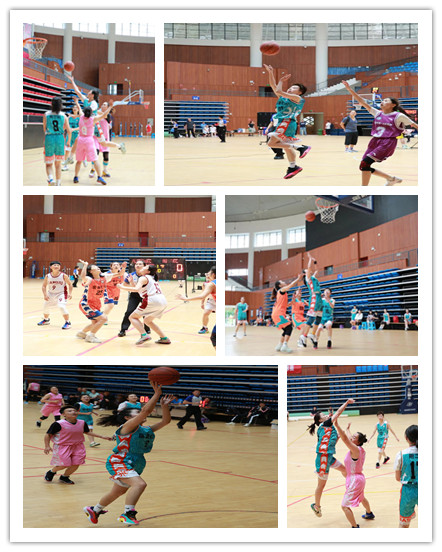 16902750758649.png 16902750758649.png