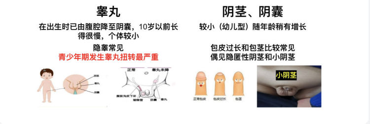 16922353759674.png 16922353759674.png