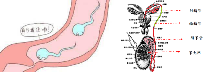 16950079973500.png 16950079973500.png