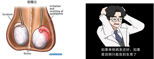 16950080164037.png 16950080164037.png