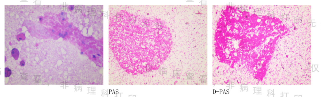 16958923078339.png 16958923078339.png