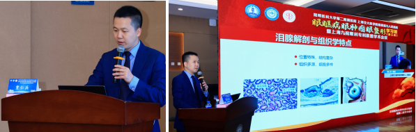 16981169545488.png 16981169545488.png