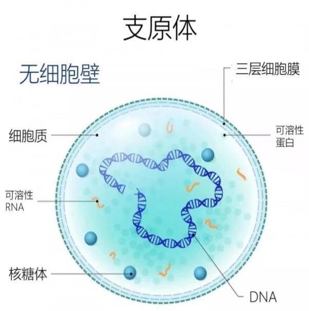 16982888626489.png 16982888626489.png