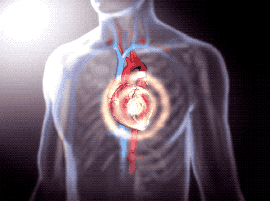 17005305589071.gif 17005305589071.gif