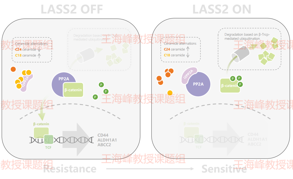 17059794985090.png 17059794985090.png