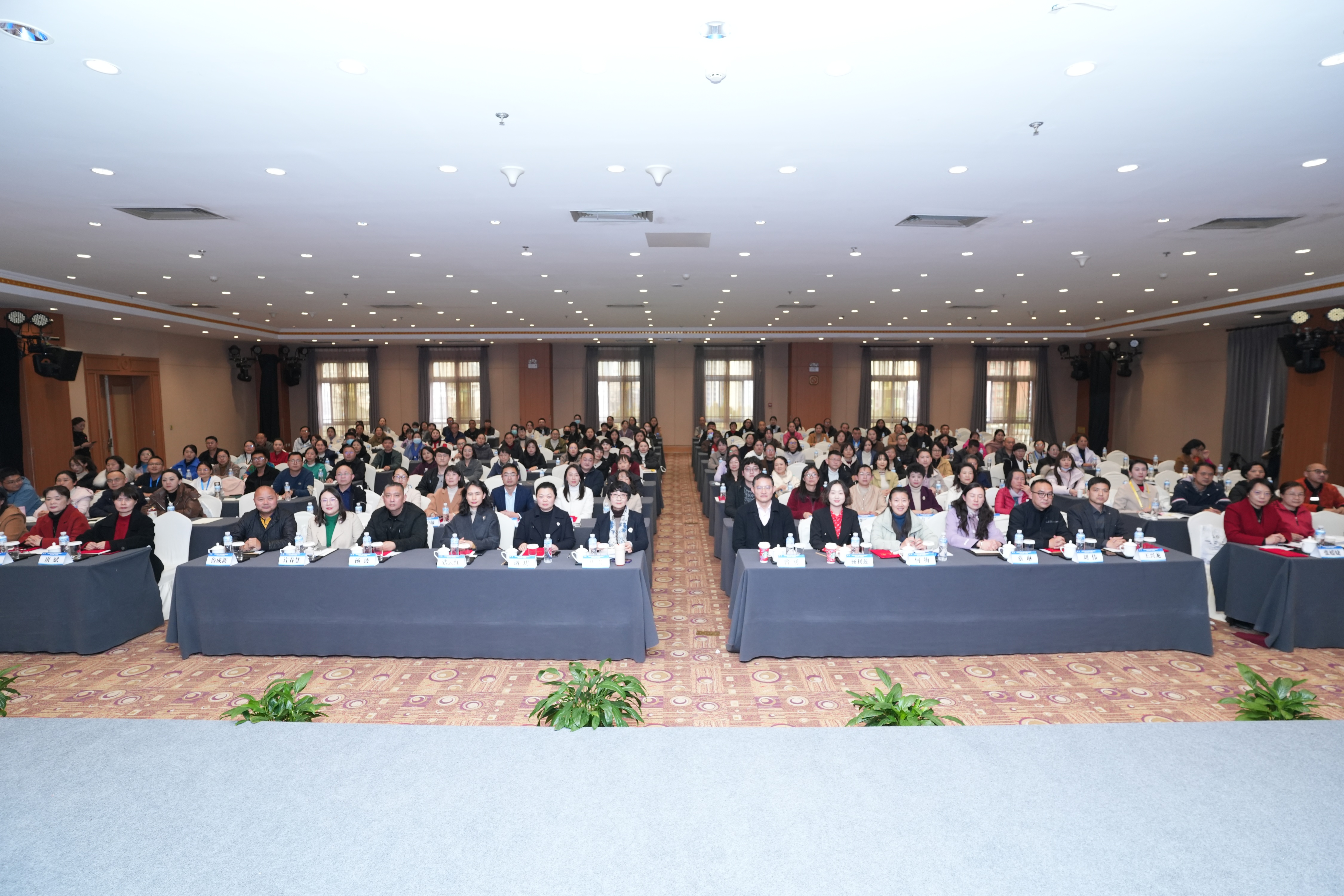 17064903047572.jpg 17064903047572.jpg