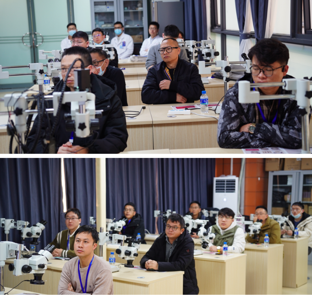 17068434083341.png 17068434083341.png