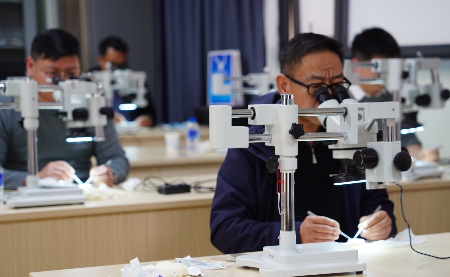 17068434676647.png 17068434676647.png