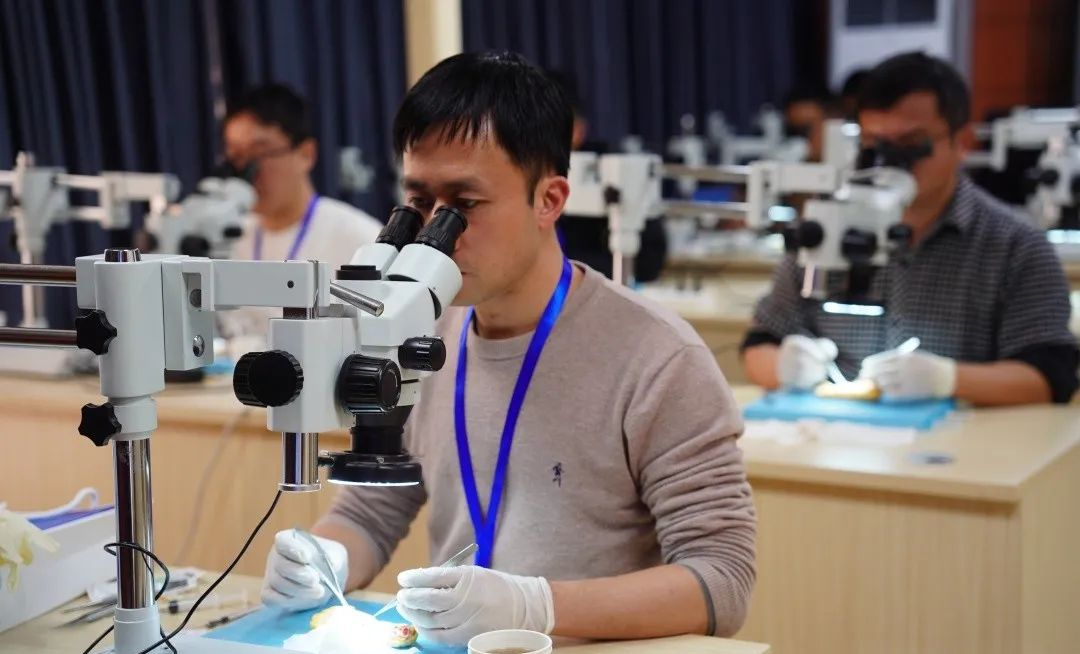 17068434893690.png 17068434893690.png