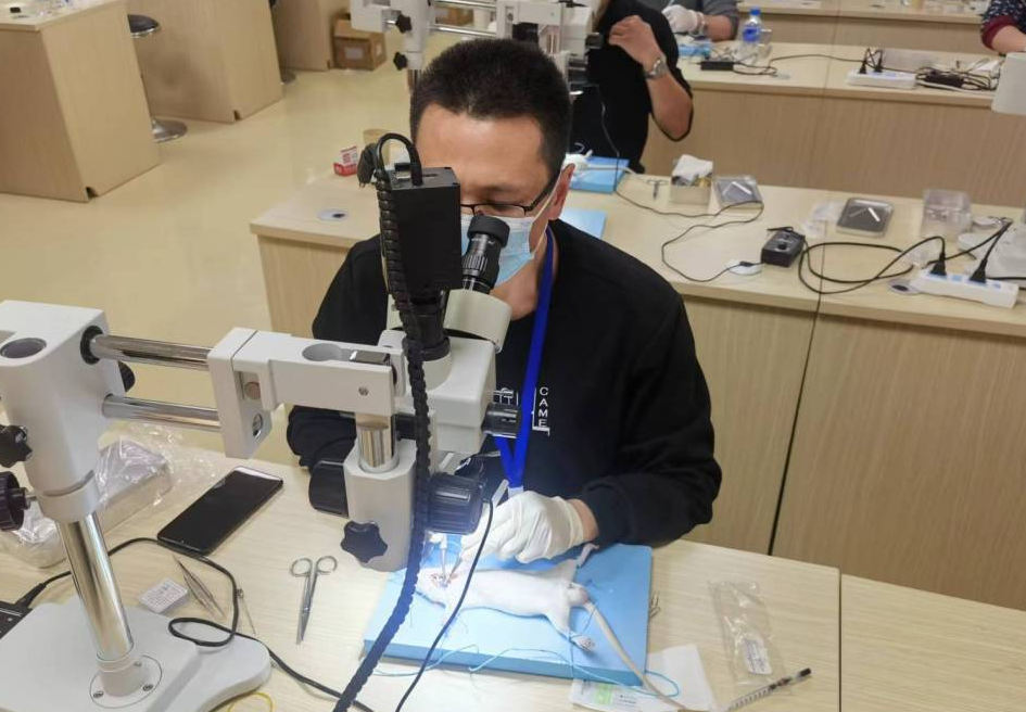 17068435068007.png 17068435068007.png