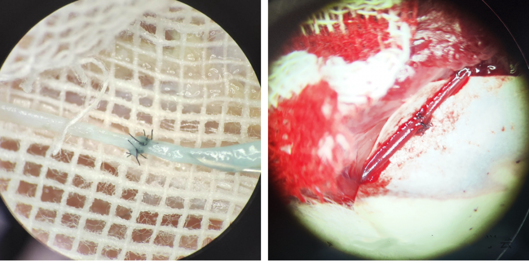 17068435265448.png 17068435265448.png