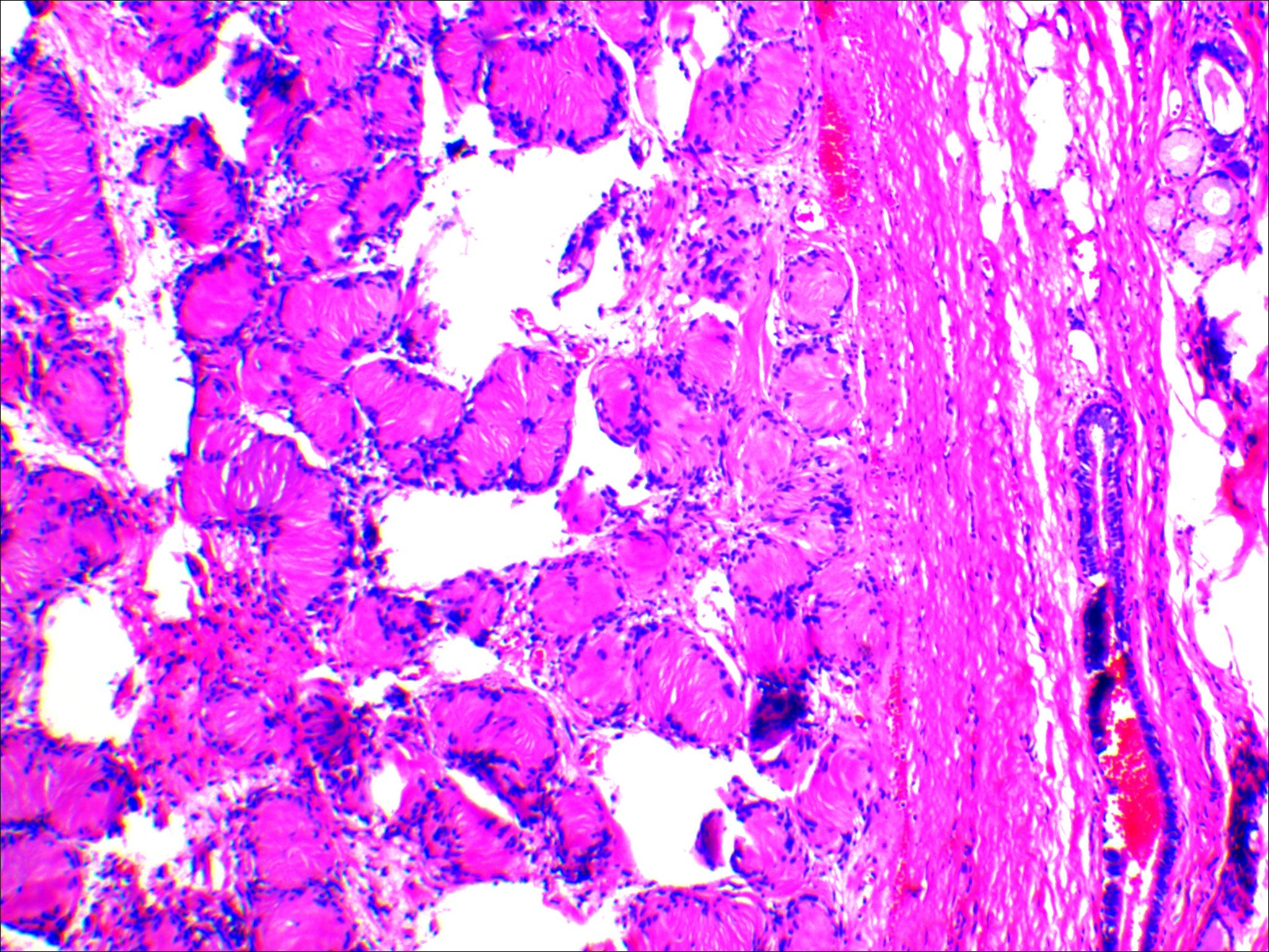 17082183775126.png 17082183775126.png