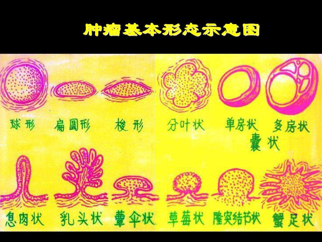 17092578668994.png 17092578668994.png