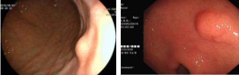 17092578905475.png 17092578905475.png