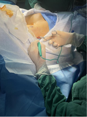 17092606888681.png 17092606888681.png