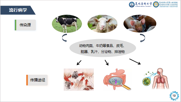 17096885199161.png 17096885199161.png