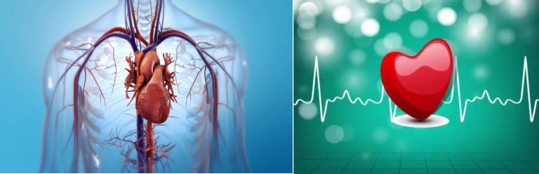 17109033139964.png 17109033139964.png