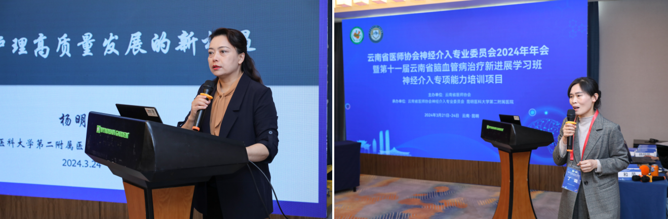 17115022533536.png 17115022533536.png