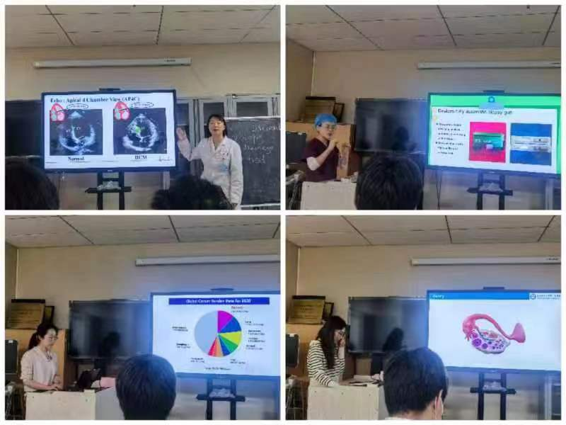 17124523429527.png 17124523429527.png