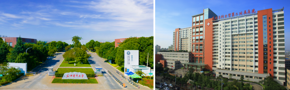 17133138374397.png 17133138374397.png