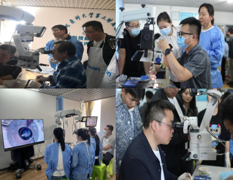 17139257845518.png 17139257845518.png