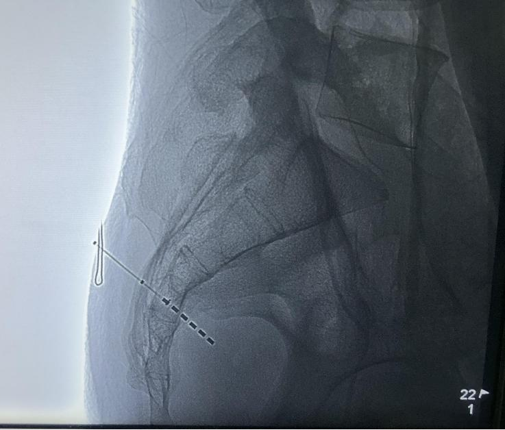 17192775449555.png 17192775449555.png