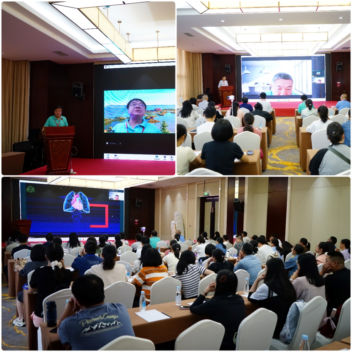 17201446665512.png 17201446665512.png