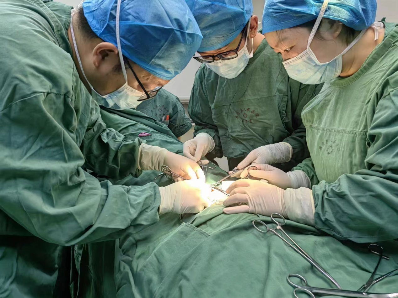 17211786609625.png 17211786609625.png