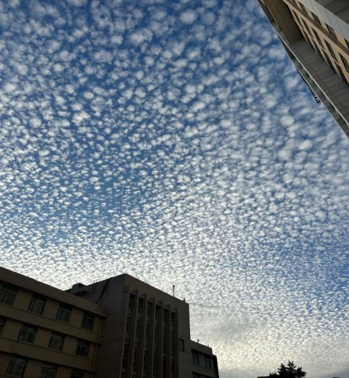 17225660617768.png 17225660617768.png