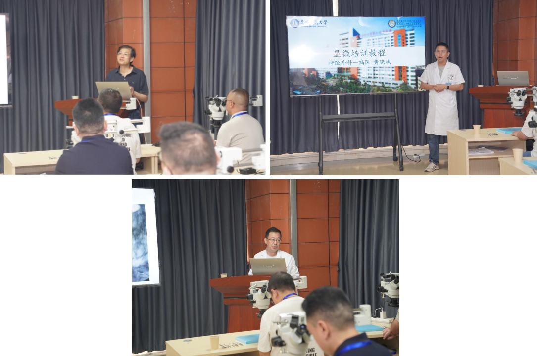 17273988991027.png 17273988991027.png