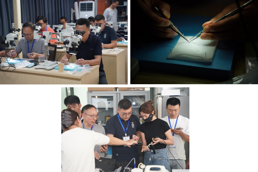 17273989244731.png 17273989244731.png