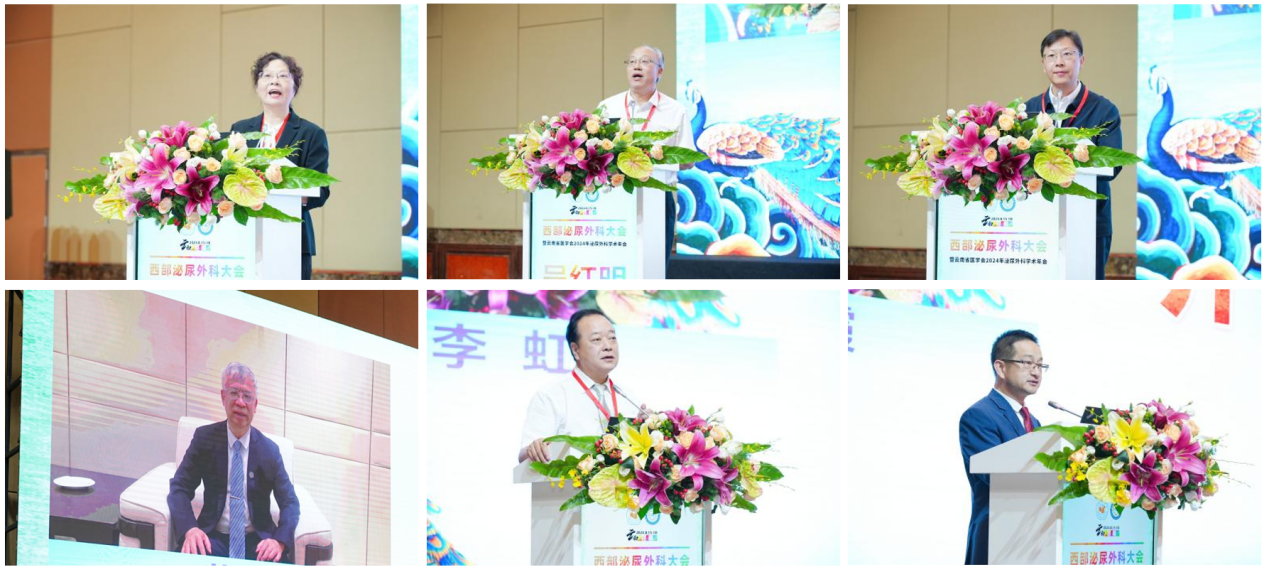 17274023717675.png 17274023717675.png