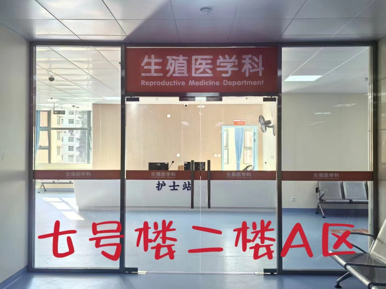 17286098337600.png 17286098337600.png