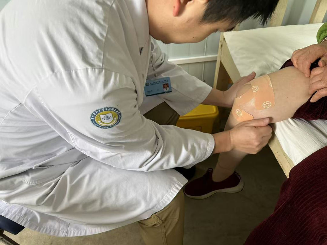 17297312168797.png 17297312168797.png