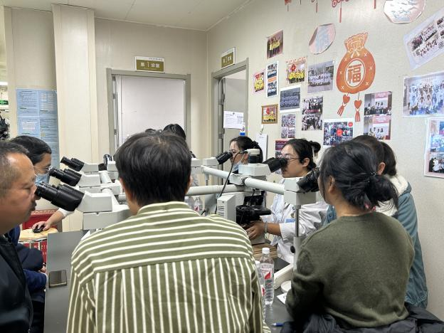 17315454696251.png 17315454696251.png