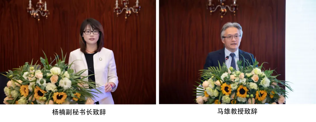 17325007299106.png 17325007299106.png