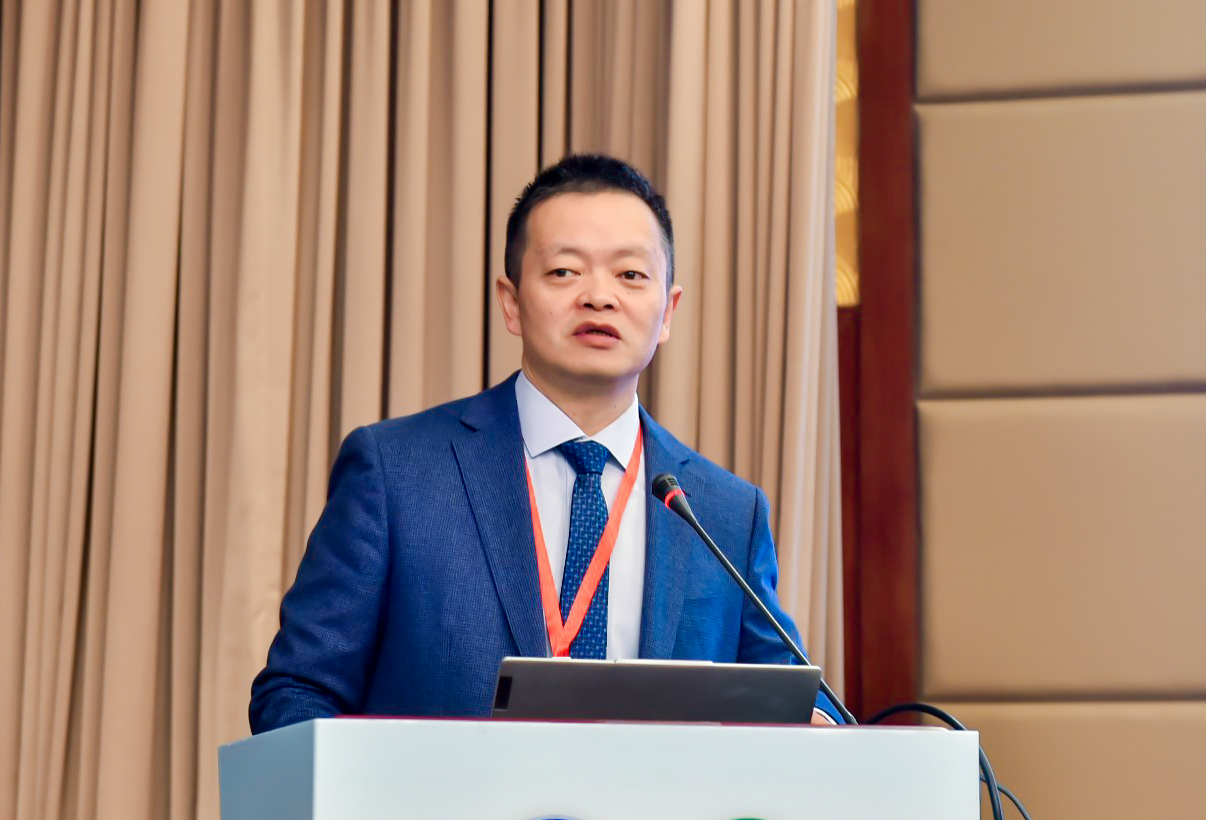 17325020748720.png 17325020748720.png