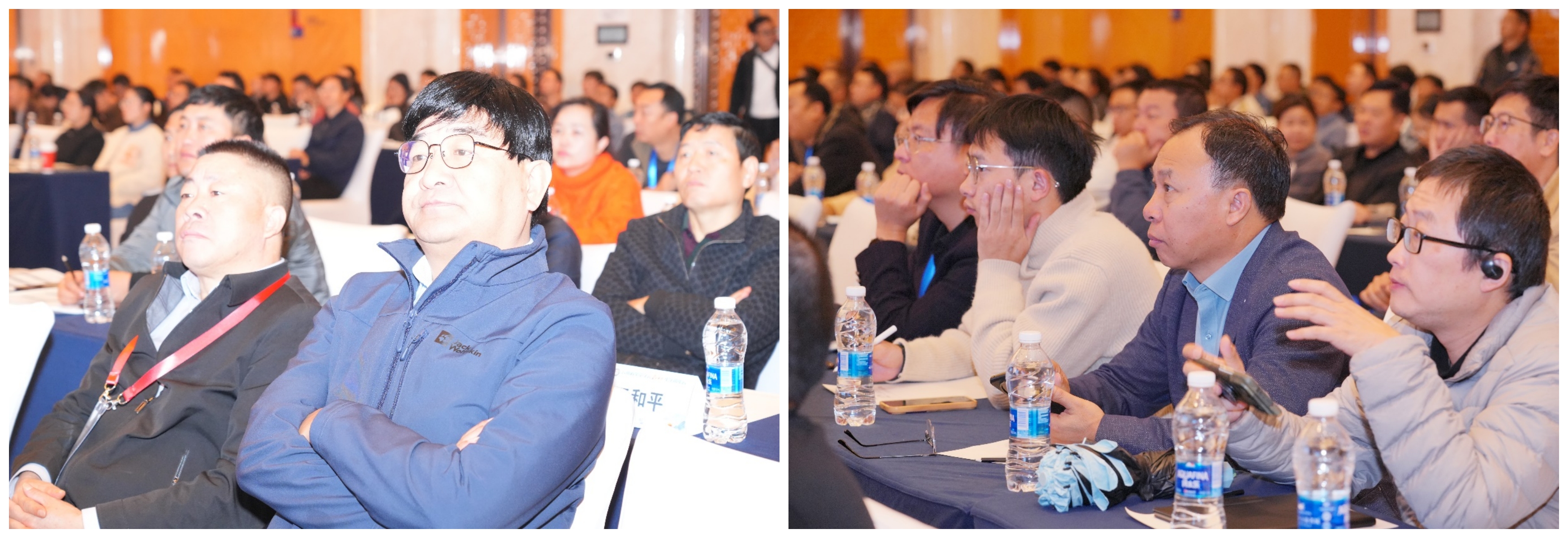 17331060868258.jpg 17331060868258.jpg