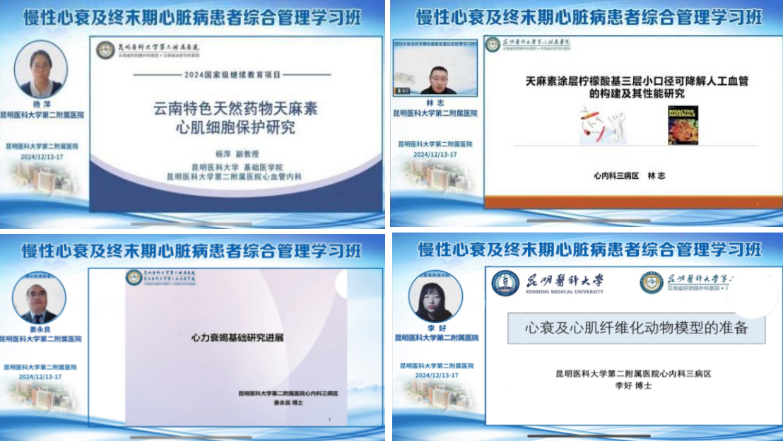 17350918677658.png 17350918677658.png